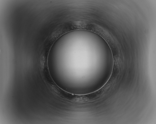 X0000101960752200807251154