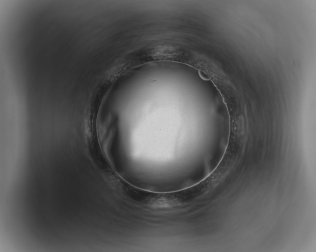 X0000101960755200807251154