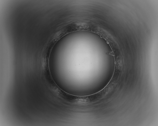 X0000101960756200807251154