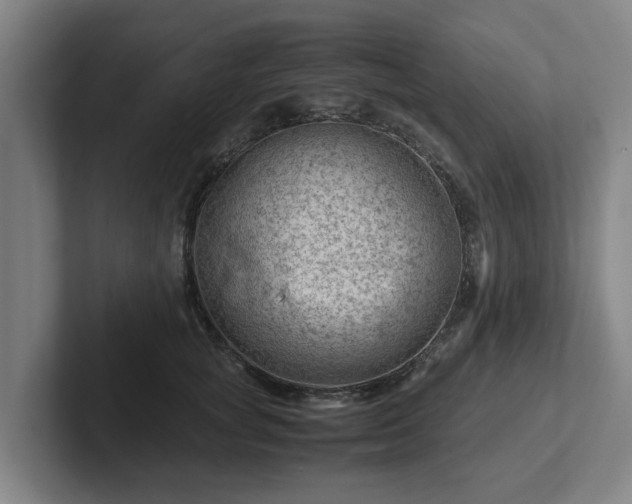 X0000101960757200807251154