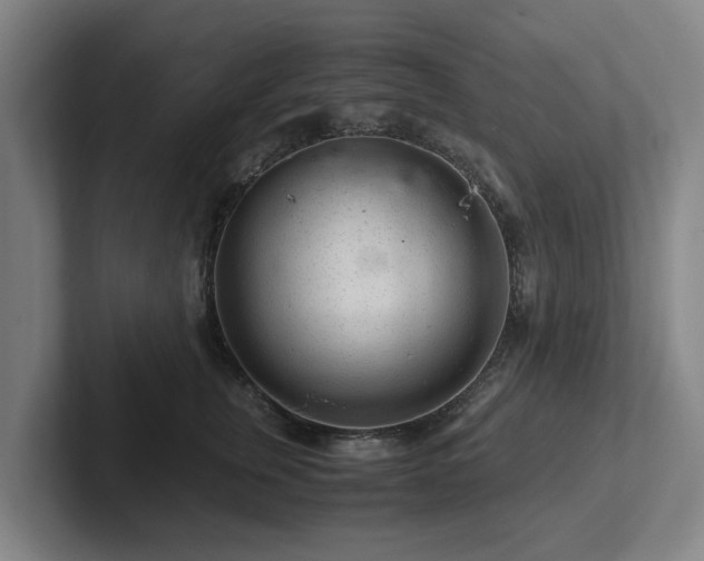 X0000101960759200807251154