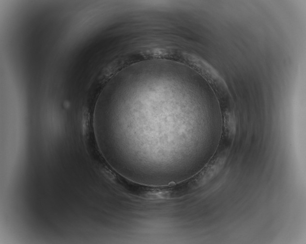 X0000101960760200807251154