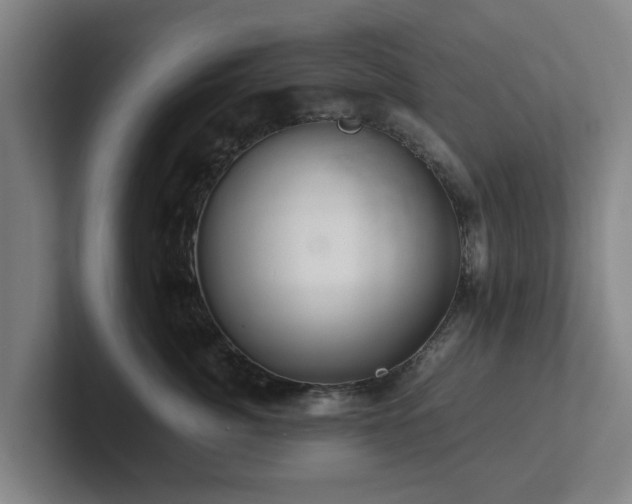 X0000101960764200807251154