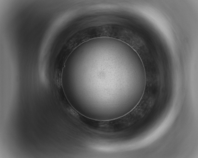 X0000101960766200807251154