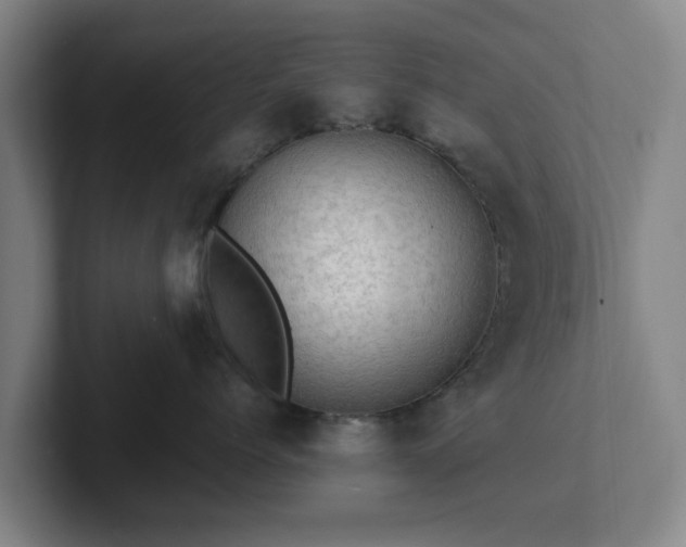 X0000101960768200807251154