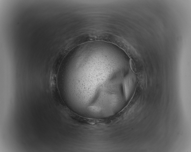 X0000101960770200807251154