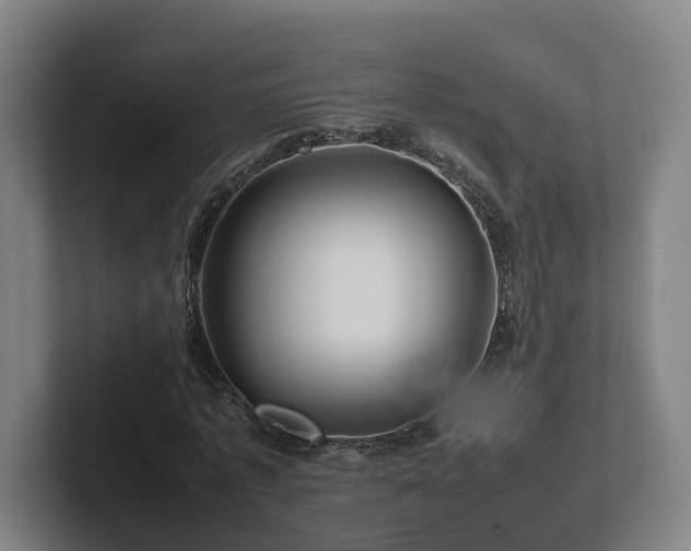 X0000101960773200807251154