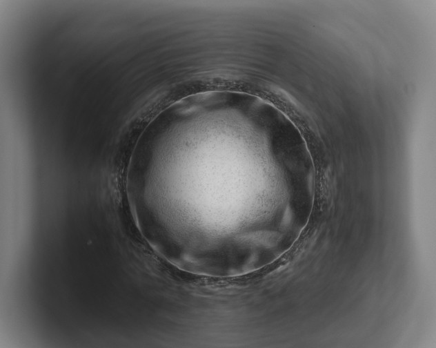 X0000101960774200807251154