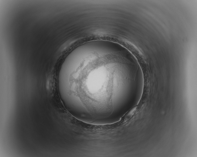 X0000101960776200807251154