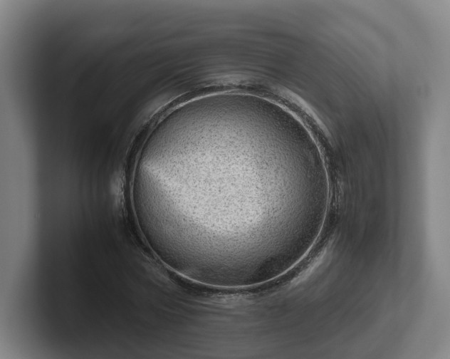 X0000101960778200807251154