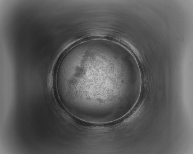 X0000101960779200807251154