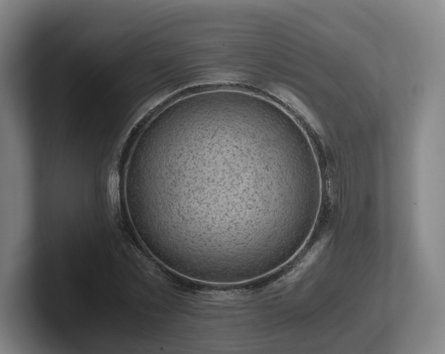 X0000101960781200807251154