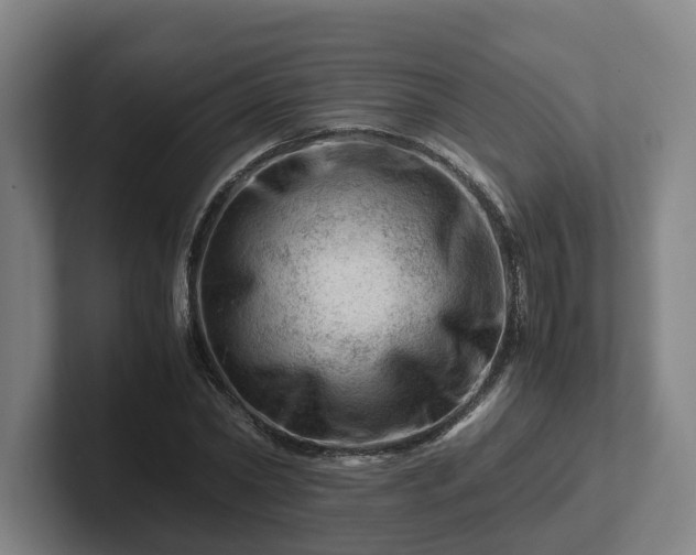 X0000101960782200807251154