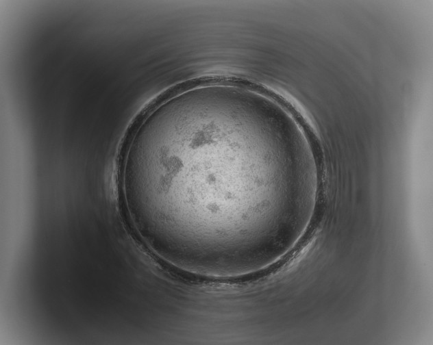 X0000101960783200807251153