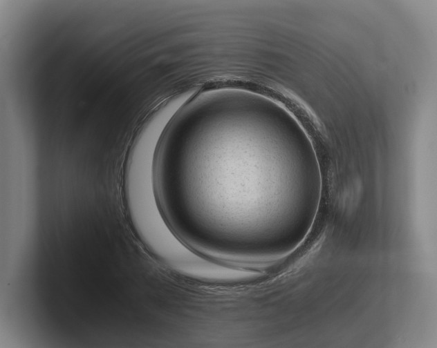 X0000101960785200807251153