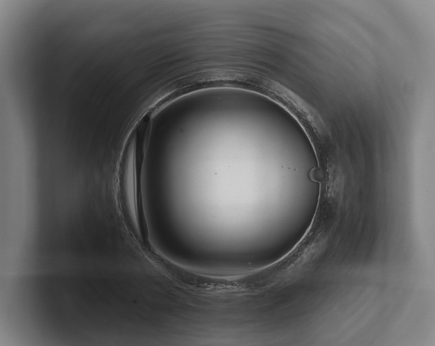 X0000101960786200807251153