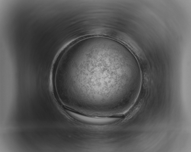 X0000101960788200807251153