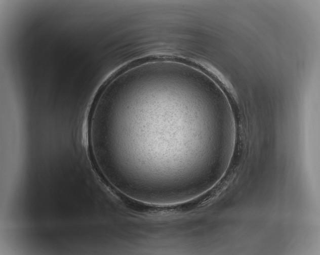 X0000101960791200807251153