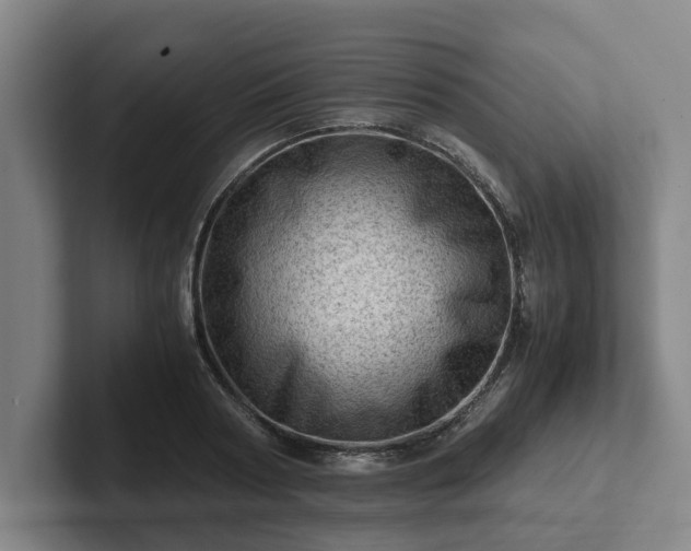 X0000101960794200807251153