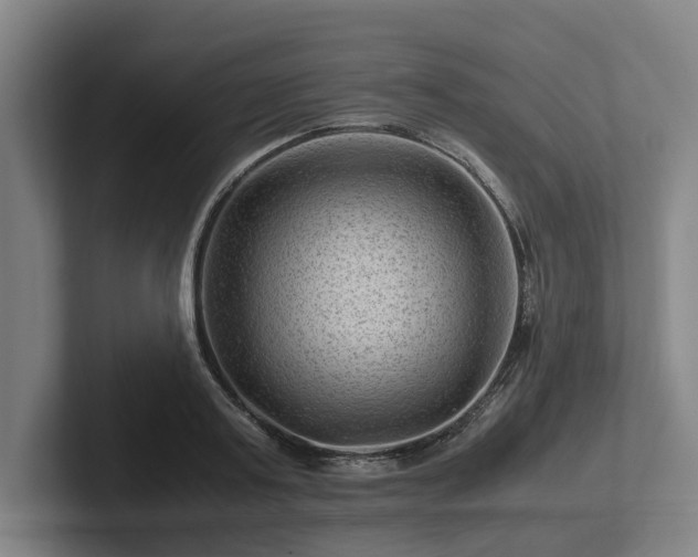 X0000101960795200807251153