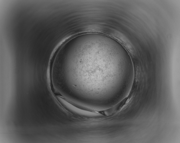 X0000101960796200807251153