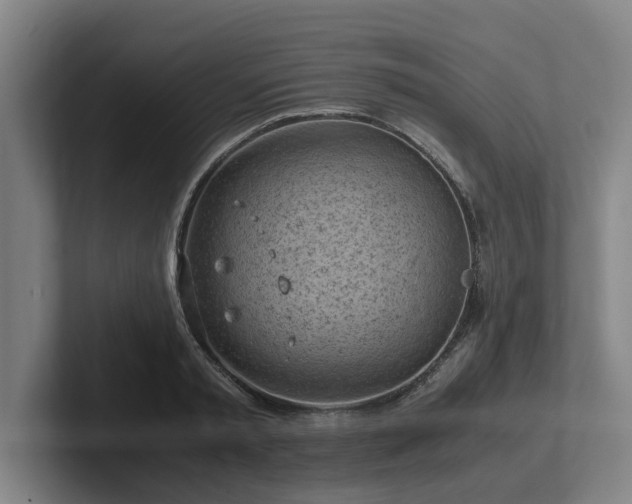 X0000101960797200807251153