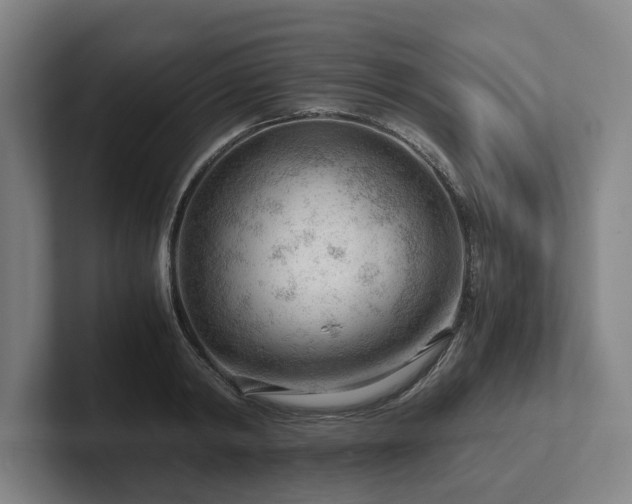 X0000101960798200807251153