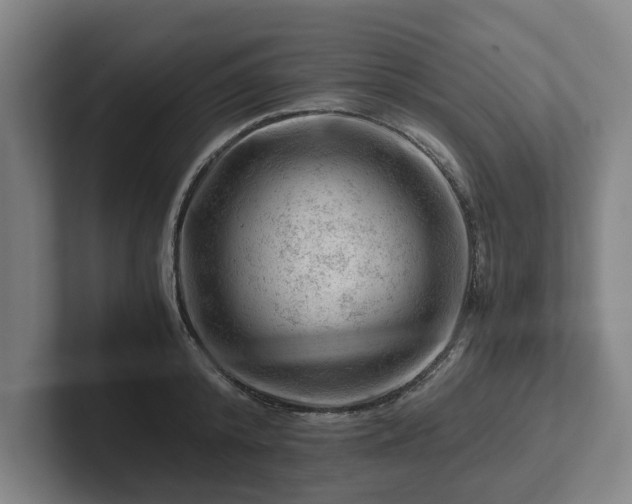 X0000101960800200807251153