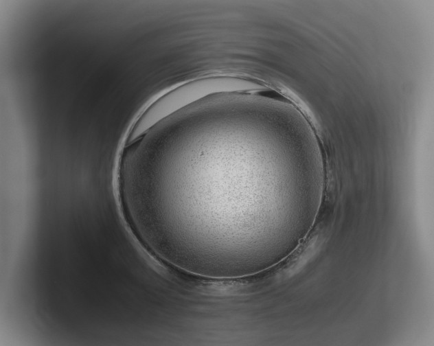 X0000101960803200807251153