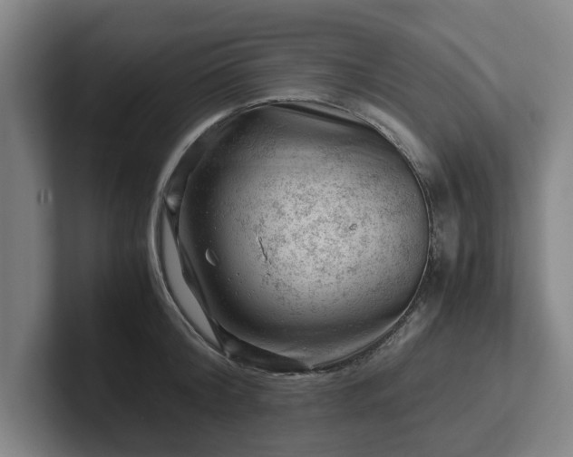 X0000101960804200807251153