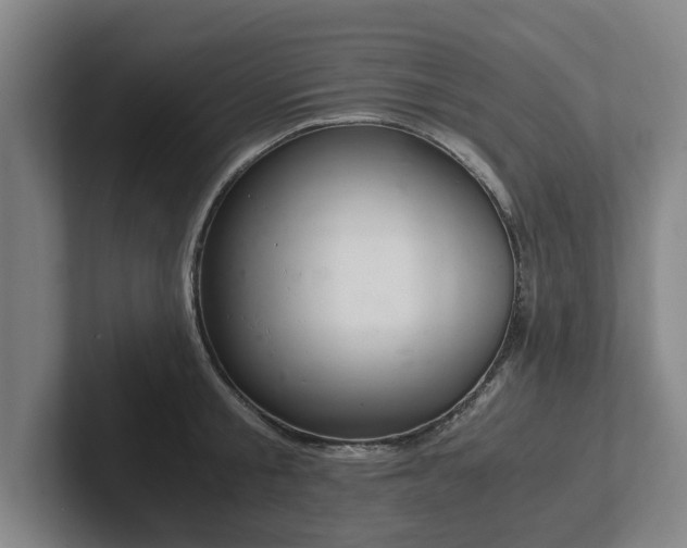 X0000101960805200807251153