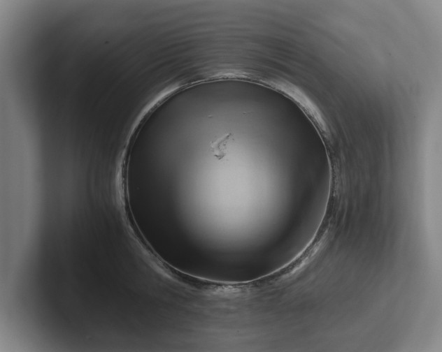 X0000101960806200807251153