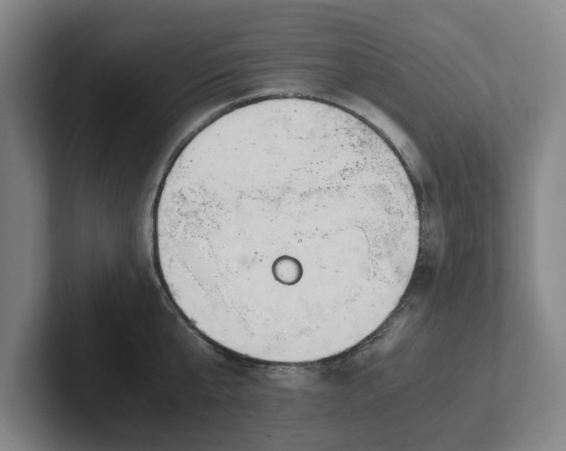 X0000101960807200807251153