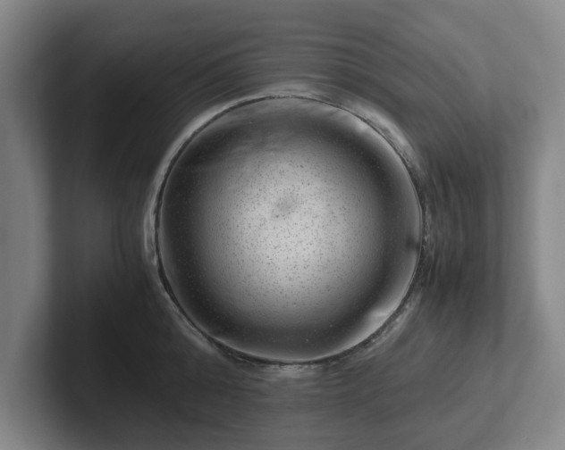 X0000101960808200807251153