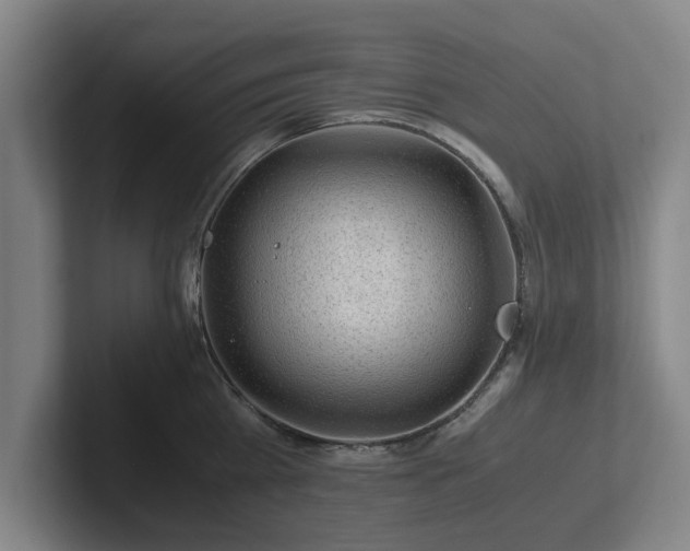 X0000101960809200807251153