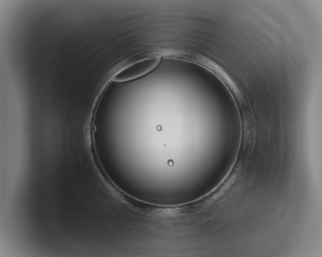 X0000101960810200807251153