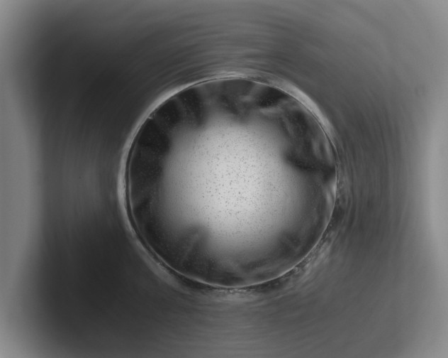 X0000101960811200807251153