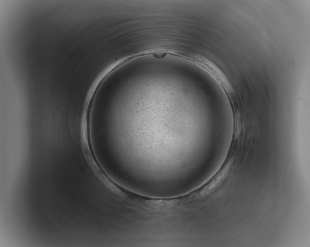 X0000101960812200807251153