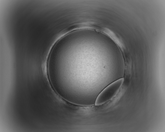 X0000101960813200807251153