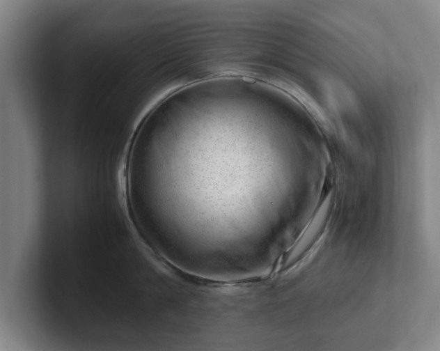 X0000101960814200807251153