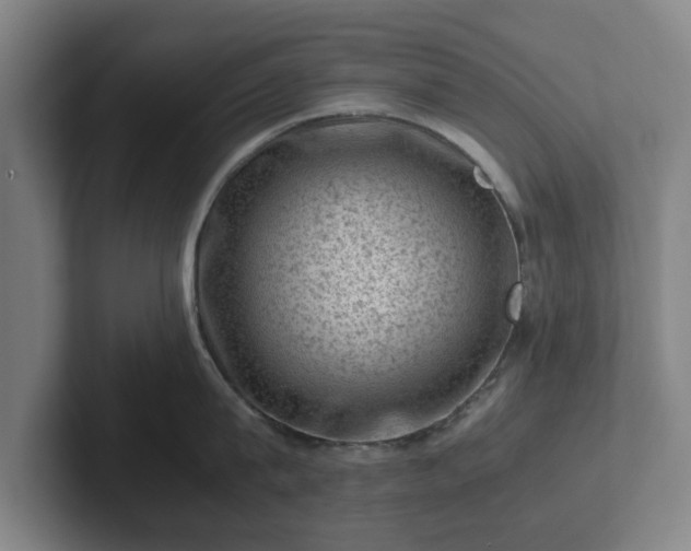 X0000101960815200807251153