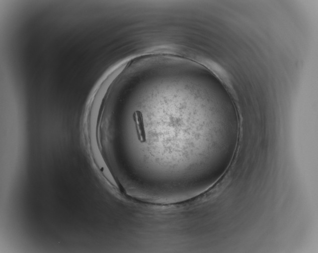 X0000101960816200807251153