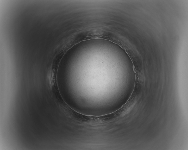 X0000101960818200807251152