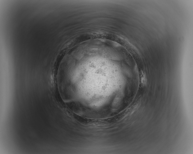 X0000101960819200807251152