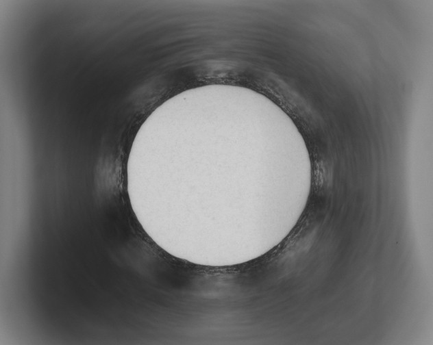 X0000101960820200807251152