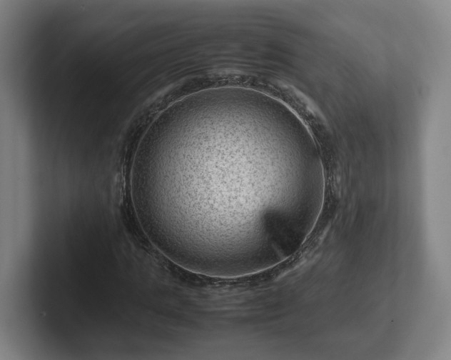 X0000101960821200807251152