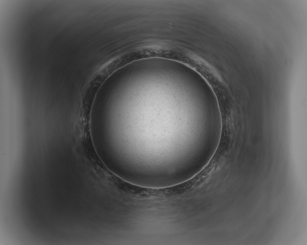 X0000101960822200807251153