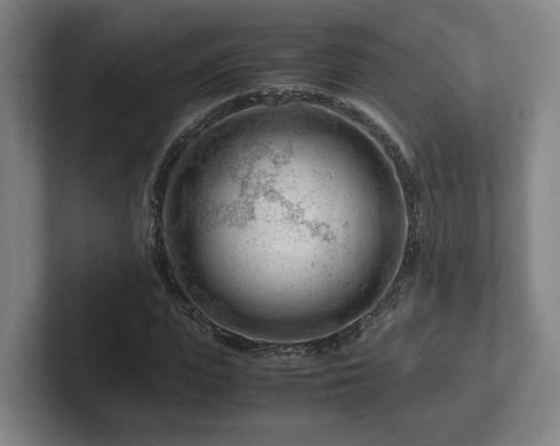 X0000101960823200807251153