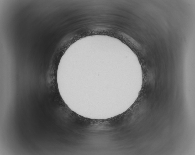 X0000101960824200807251153