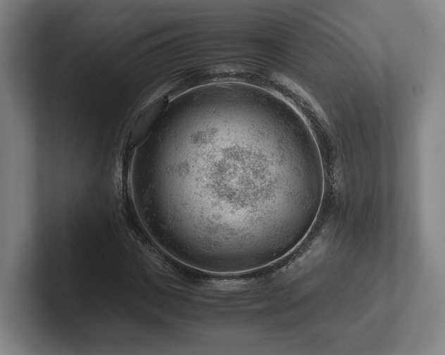 X0000101960825200807251153